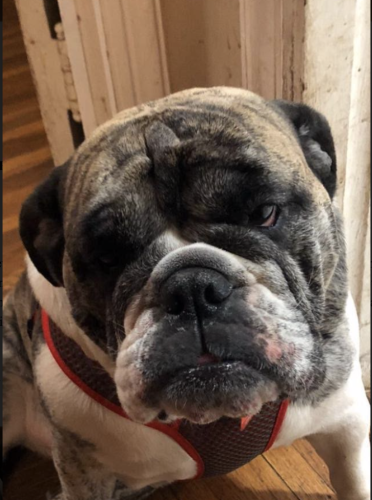 Screen Shot 2019-11-25 at 1.25.39 PM